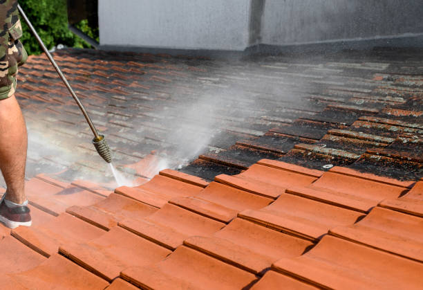 Best Pressure Washing Near Me  in Jefferson, OH